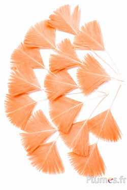 Petali in piume - 6-8 cm x 3-4 cm - salmone 